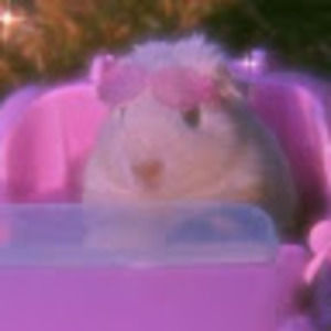 Meet your Posher, Peyton